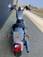 tweedehands Harley Davidson sportster 883 10