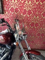 tweedehands Harley Davidson softail custom 10