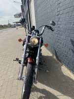tweedehands Harley Davidson softail custom 11