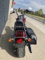 tweedehands Harley Davidson softail custom 12