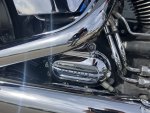 tweedehands Harley Davidson softail custom 8