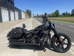 tweedehands Harley Davidson street bob 114 softail 2