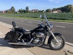 tweedehands Honda shadow 750 2